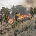 Fire Squad – Incubo di fuoco